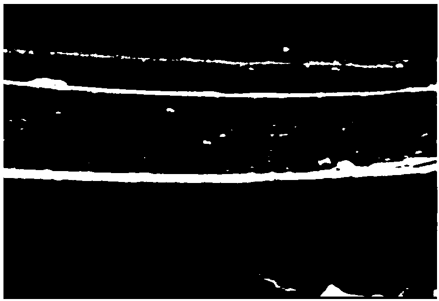 Fermented feed produced by microbial treatment and explosion of crop straw and production method and applications of feed