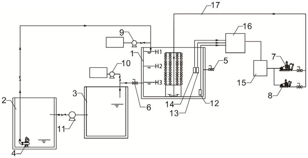 SBBR sewage treatment device for side flow phosphorus removal and method thereof