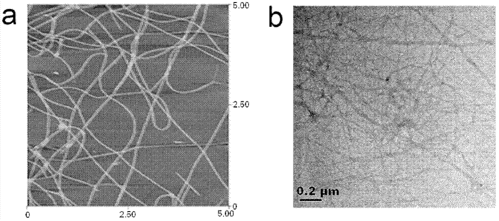 Nanogel scaffold material for culturing and desorbing type of cells and preparation method thereof