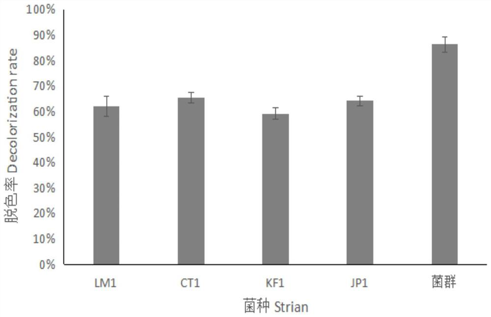 Microbial agent capable of rapidly decolorizing aniline blue as well as preparation method and application of microbial agent