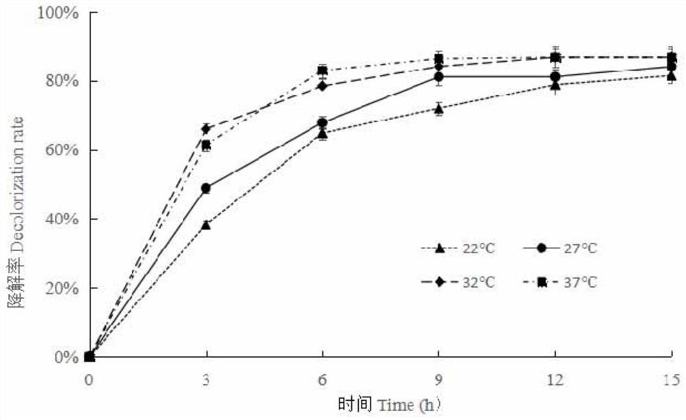 Microbial agent capable of rapidly decolorizing aniline blue as well as preparation method and application of microbial agent