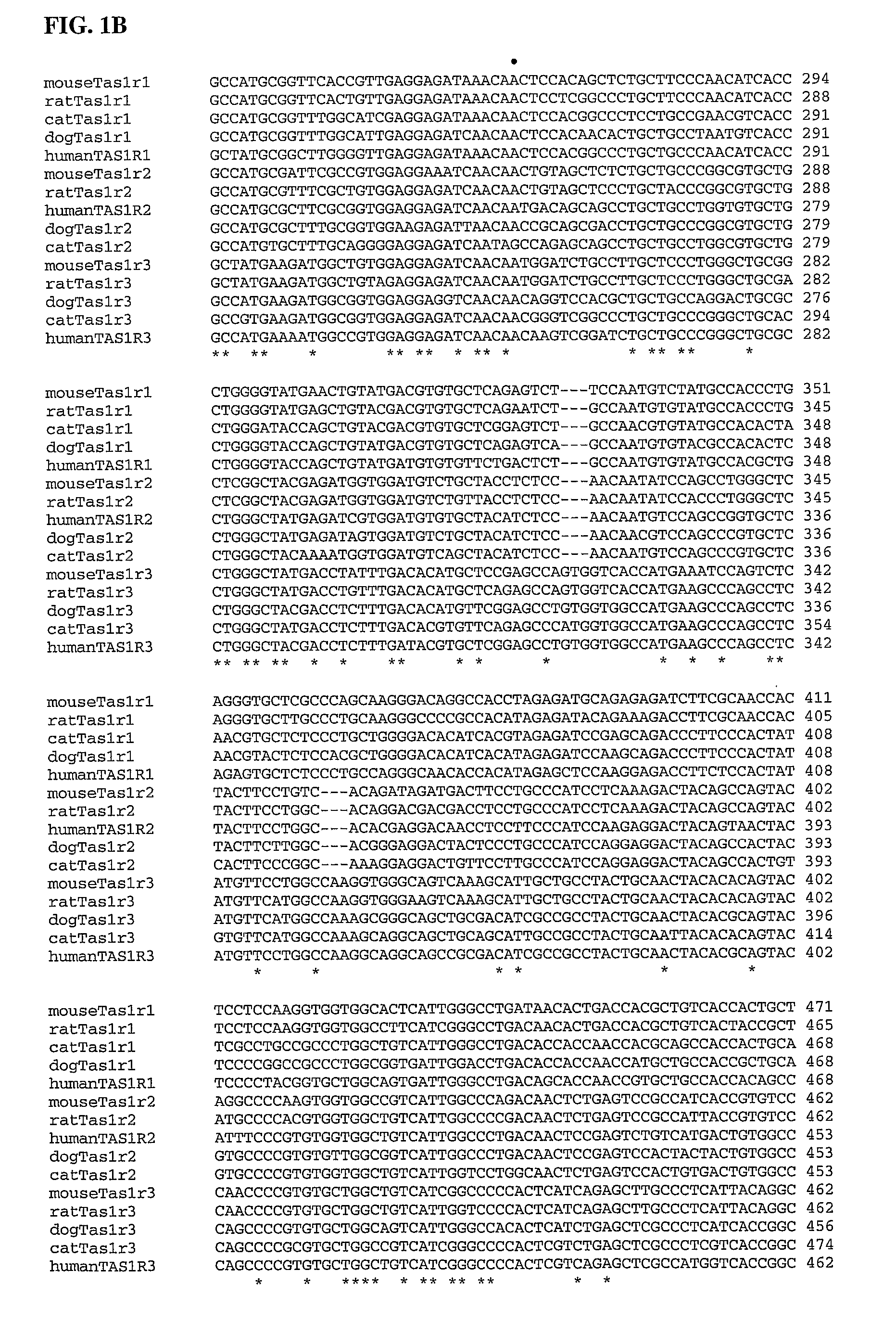 Taste Receptors of the T1r Family from Domestic Dog