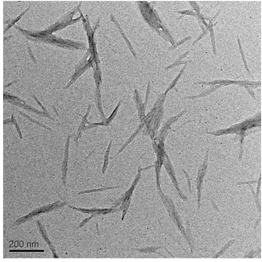 Biomass nanocrystal enhanced type nylon composite material, composite master batch and preparation method