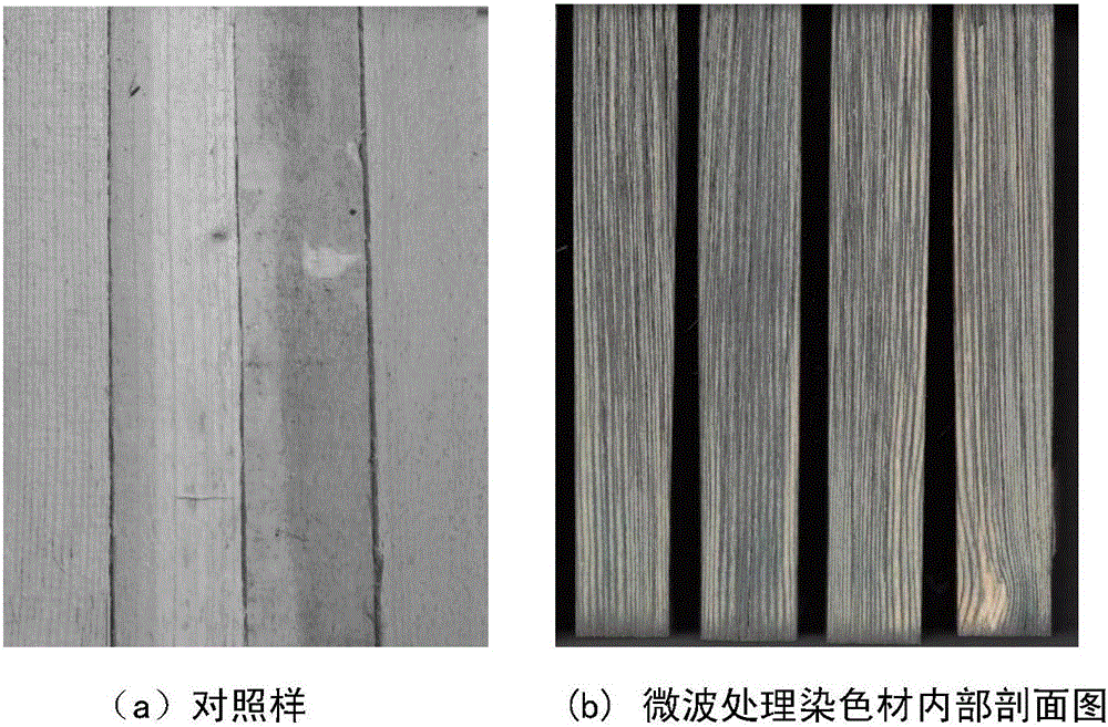Microwave-treated dyed decorative veneer and preparation method thereof