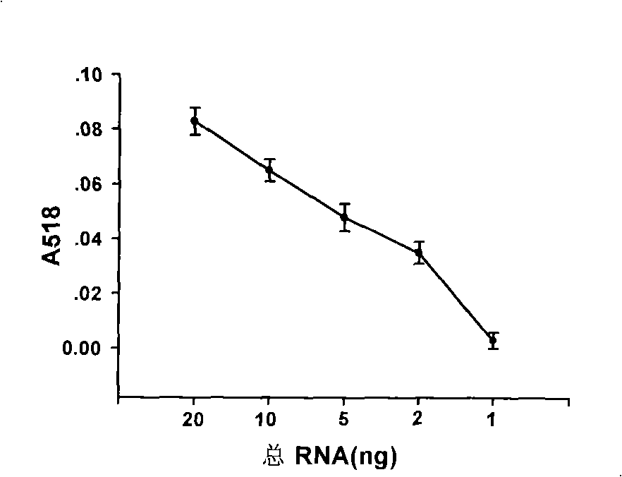 Nucleotide sequence for detecting mircoRNA content in samples and detecting method