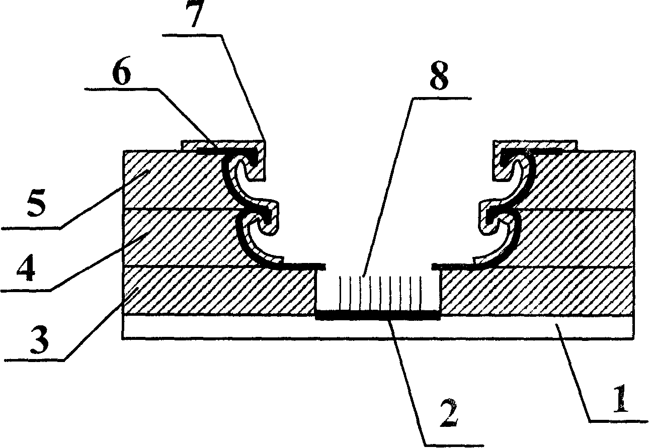 Multiple grids integrated control array structural panel display device and its production technique
