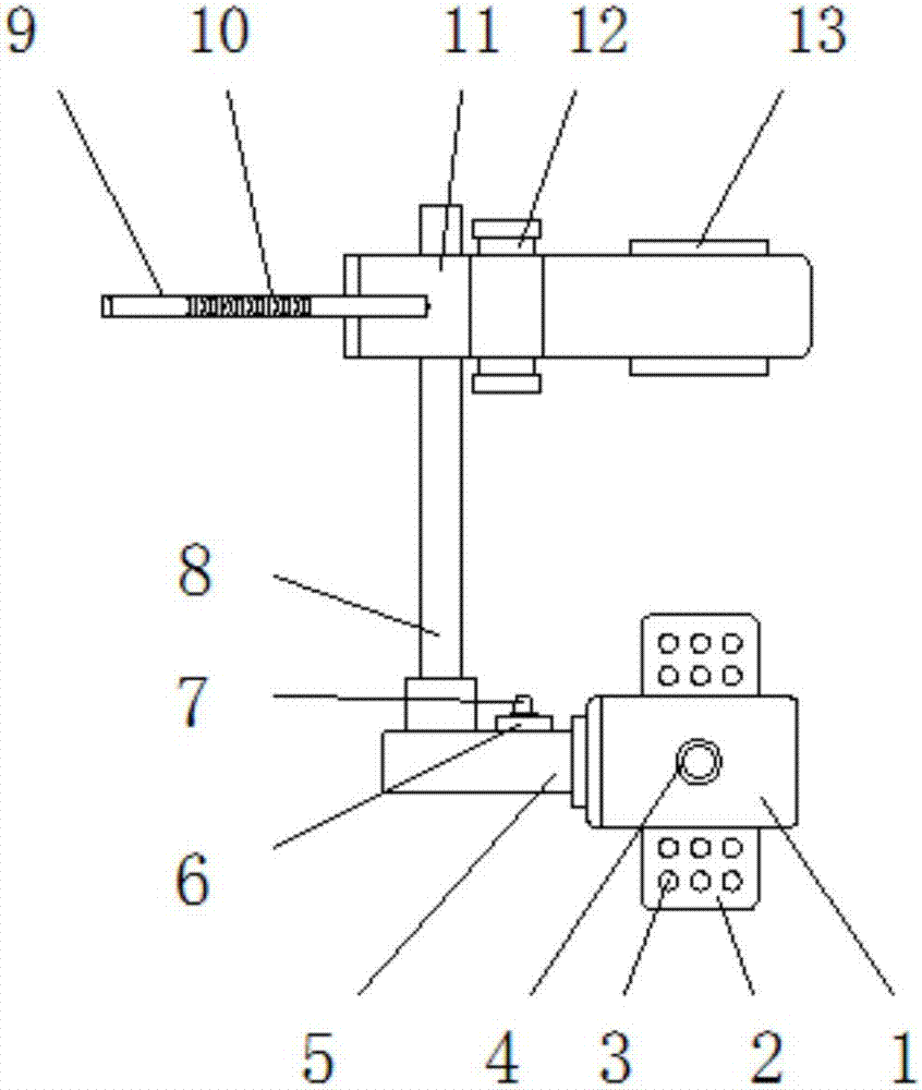 Fixation and protection clip for grafting