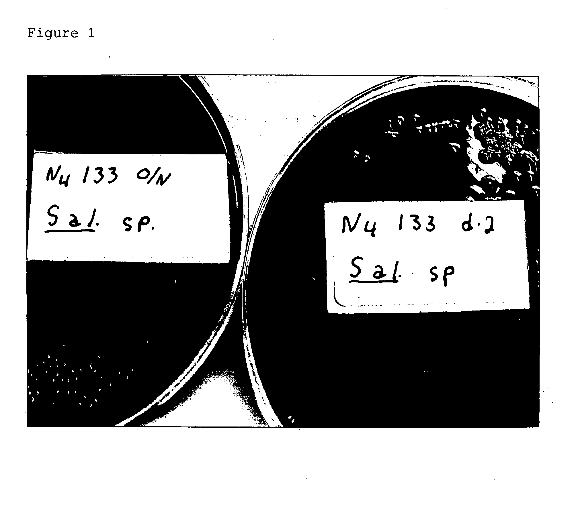 Advanced selective plating media