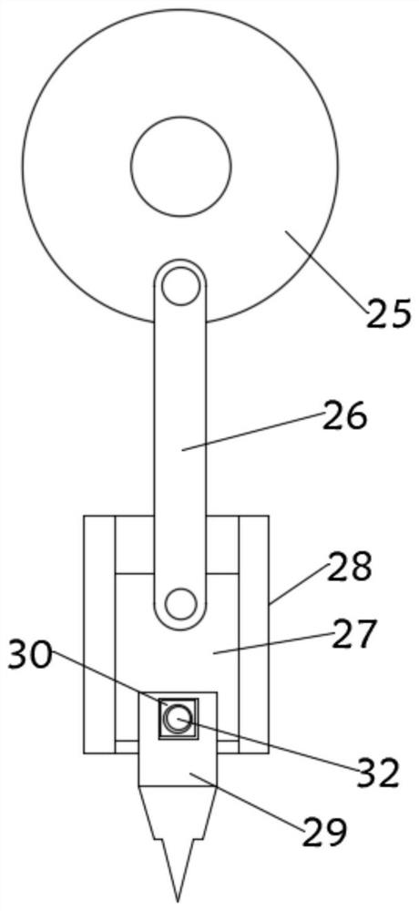 Line drawing device for costume designing