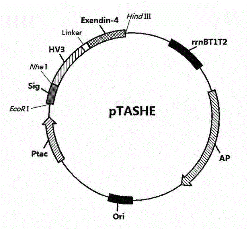 Novel method for preparing recombinant exenatide or derivative thereof