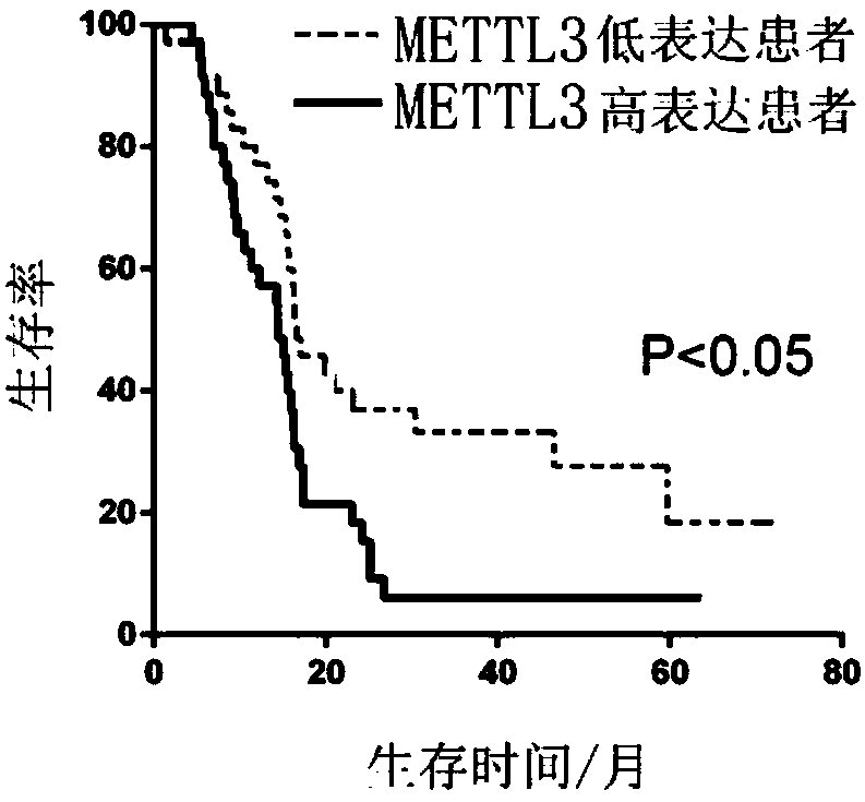 Marker for glioblastoma, application thereof and kit