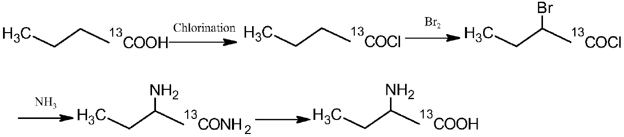 Method for synthesizing 13C-labeled alpha-aminobutyric acid