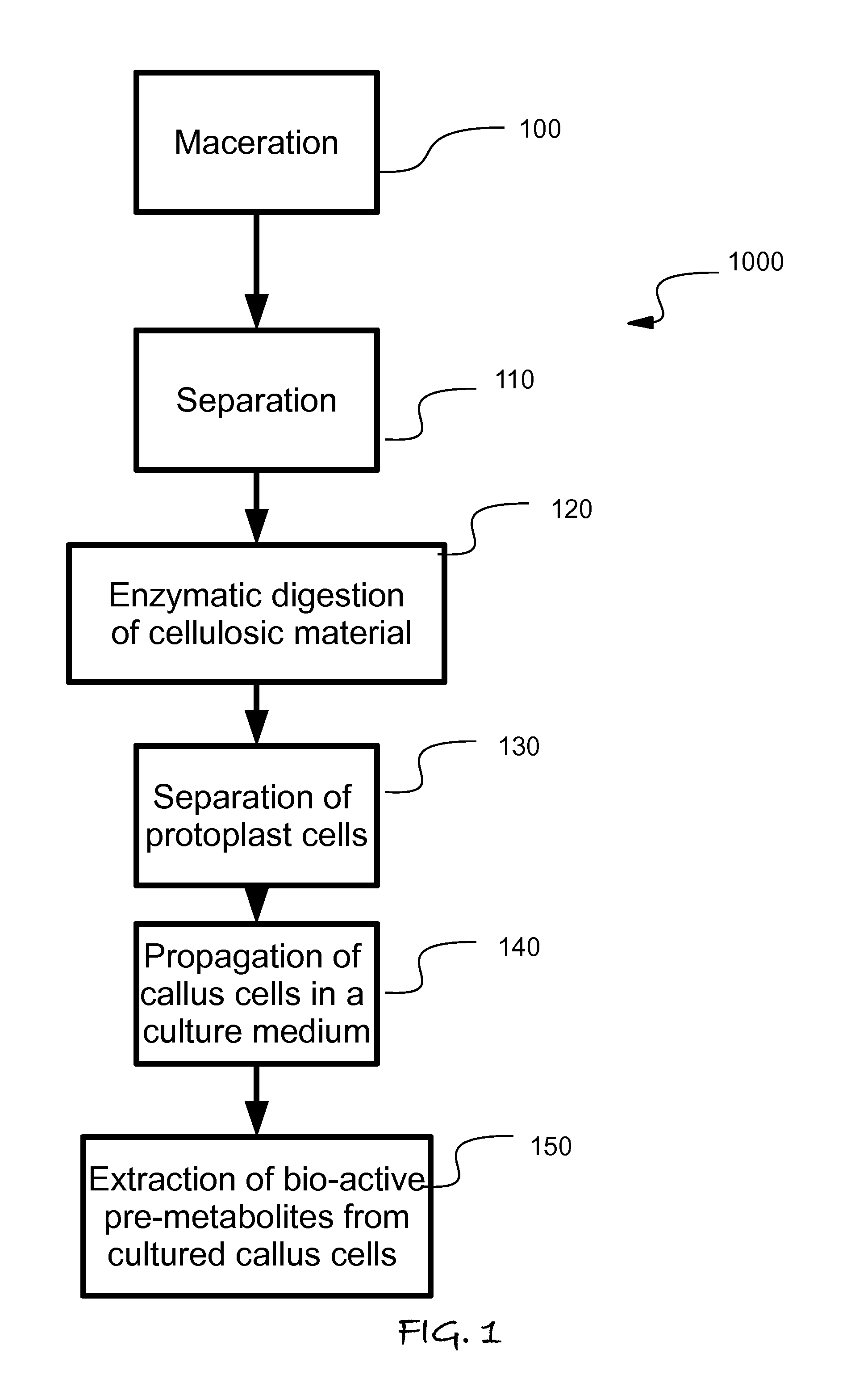 Plant Activator Composition