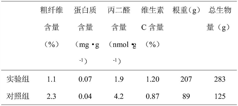 Cultivation method for improving radish quality