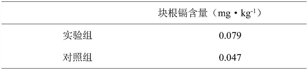 Cultivation method for improving radish quality