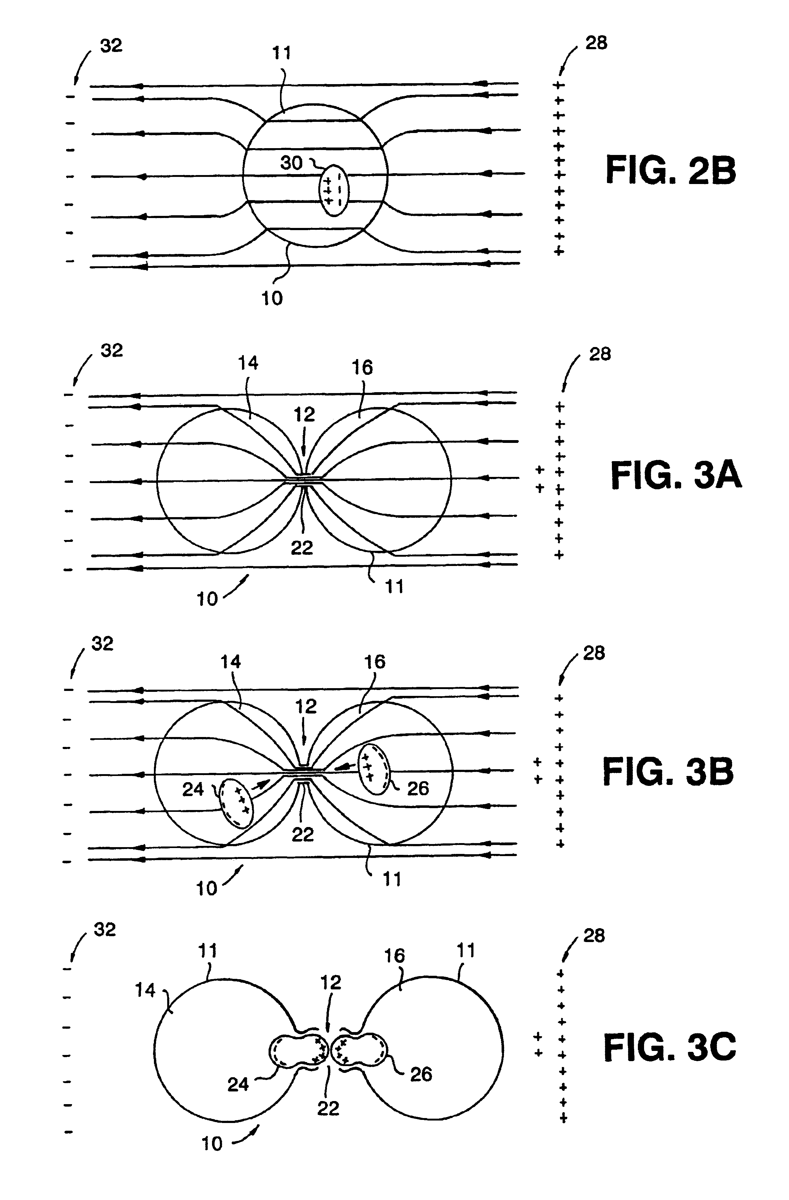 Apparatus for treating a tumor or the like and articles incorporating the apparatus for treatment of the tumor