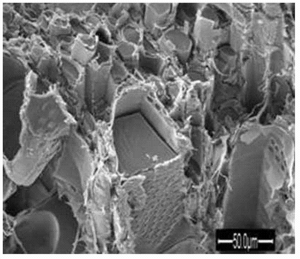 Method for preparing nanometer SiO2 doped wood-organic-inorganic hybrid nanometer composite material