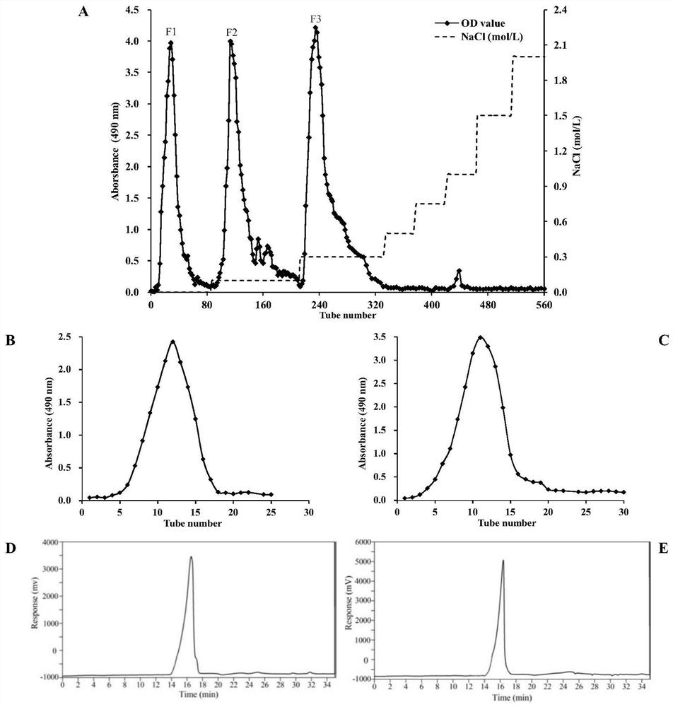 Polysaccharide with immunologic adjuvant effect, preparation method and application thereof