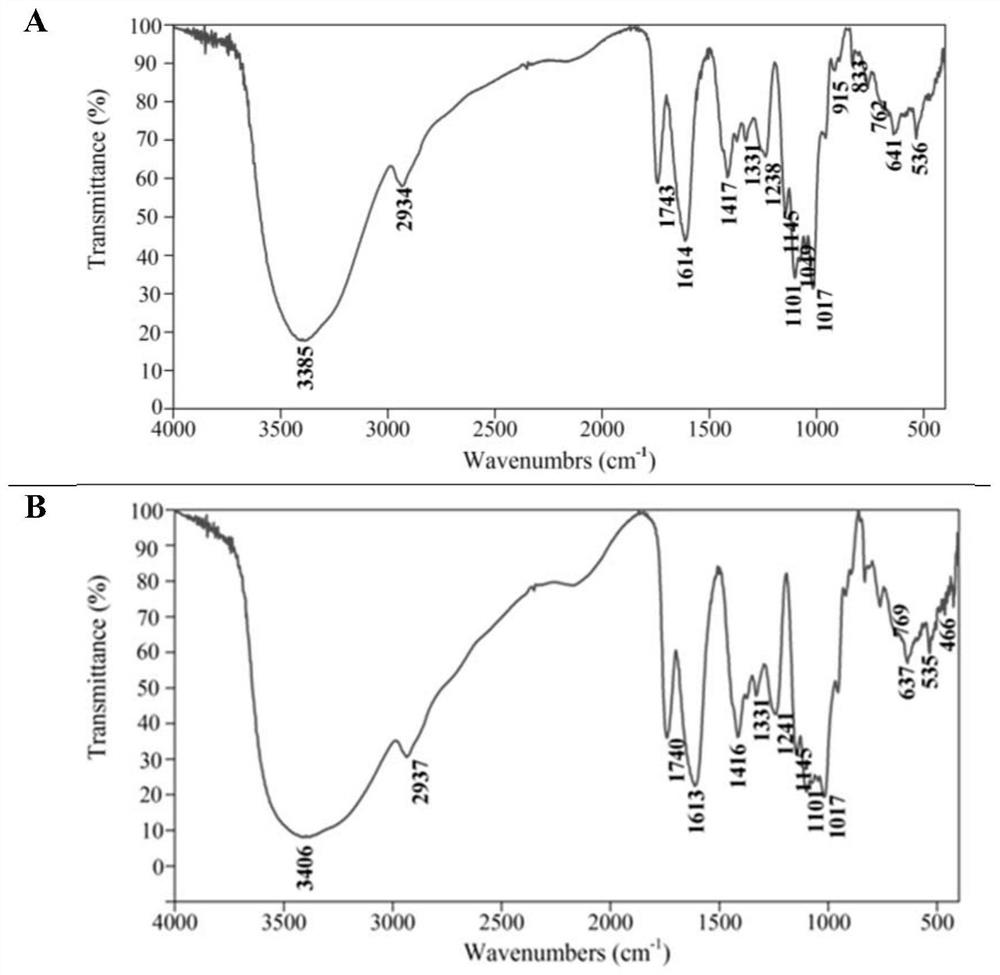 Polysaccharide with immunologic adjuvant effect, preparation method and application thereof