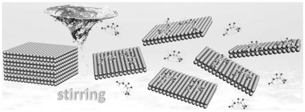 Saccharides-assisted boron nitride stripping method and application