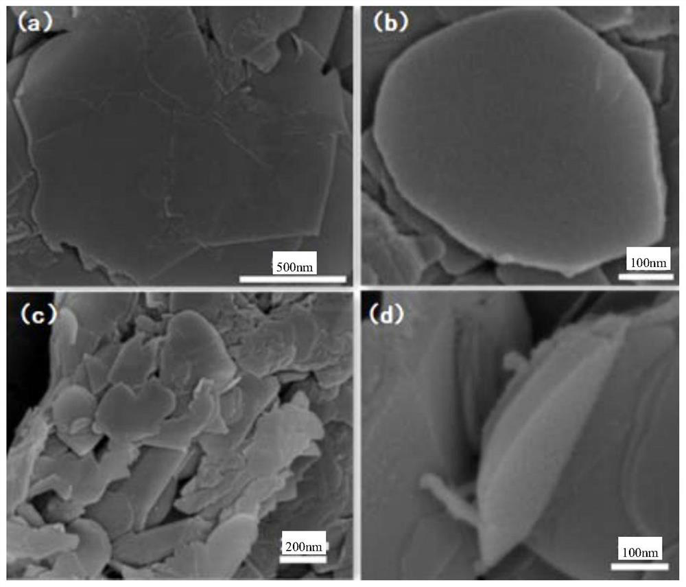 Saccharides-assisted boron nitride stripping method and application