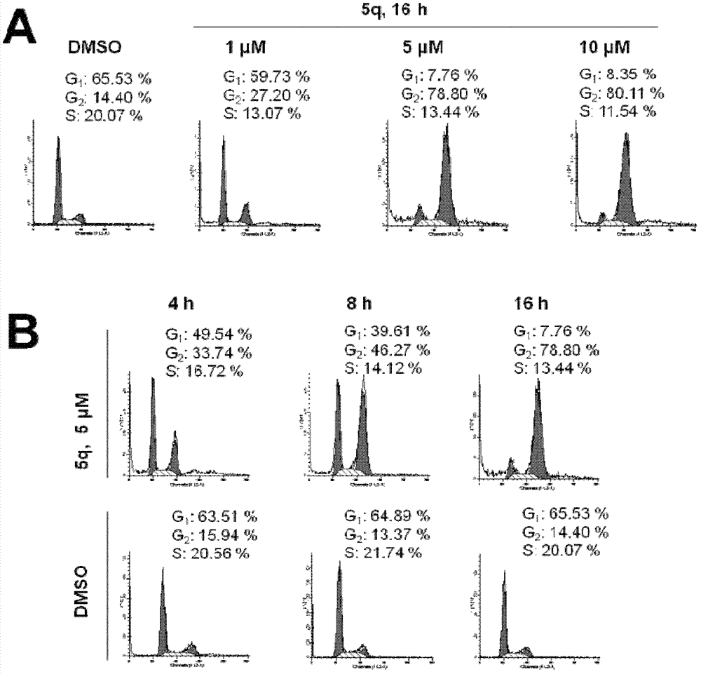 Sulfonamide compound, pharmaceutical composition and preparation method and application thereof