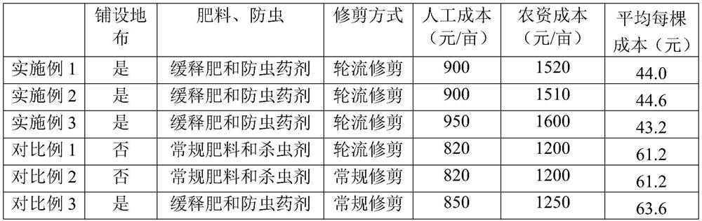 Ground cloth laying type high-efficiency planting method for macadamia nuts