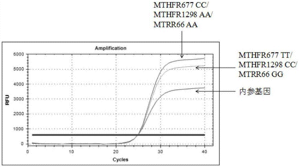 Composition for detecting polymorphism of MTHFR and MTRR genes and application of composition