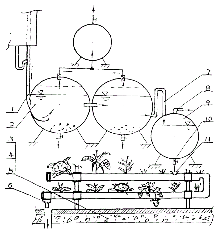 Building sewage treatment and pipeline planting system