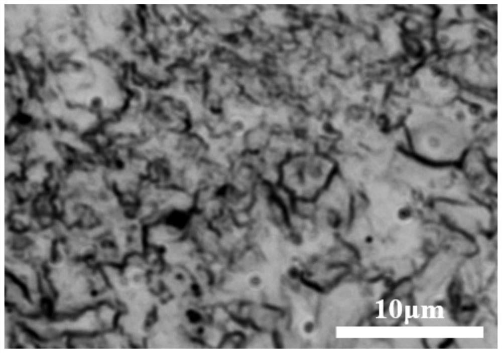 Rare earth nano high-strength titanium and preparation method thereof