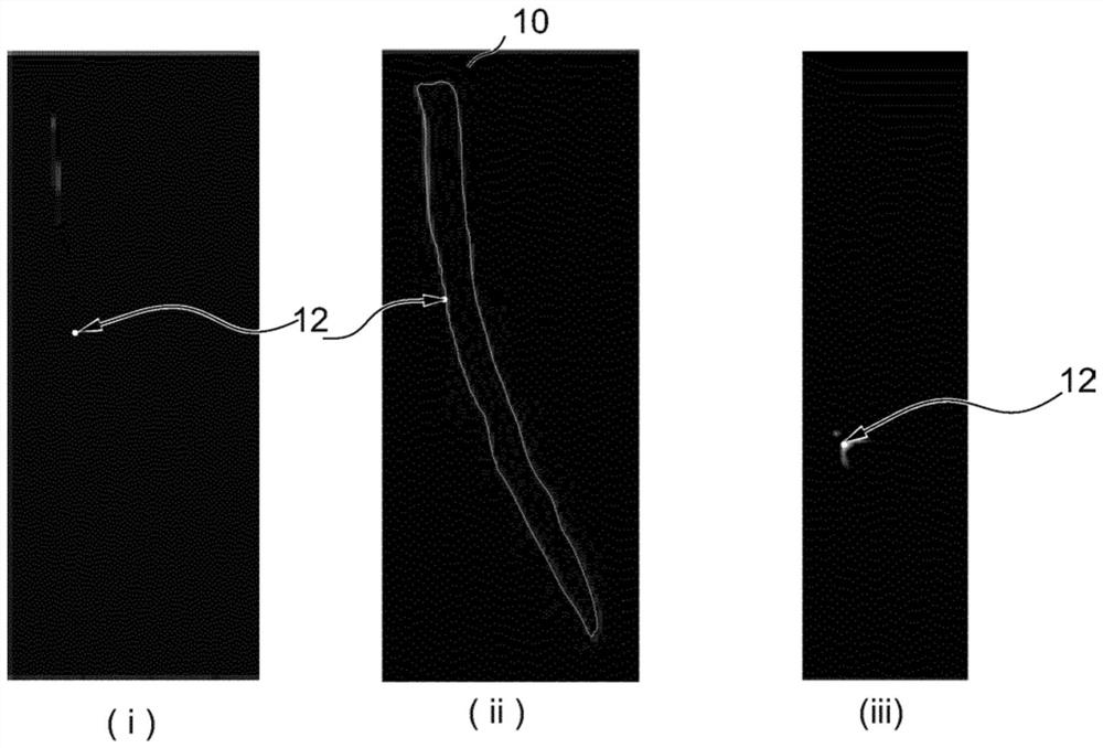 Dose guided deformable image registration