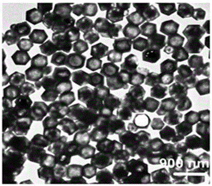 Rhombic hollow dodecahedron potassium phosphate noncrystal and synthesis method thereof
