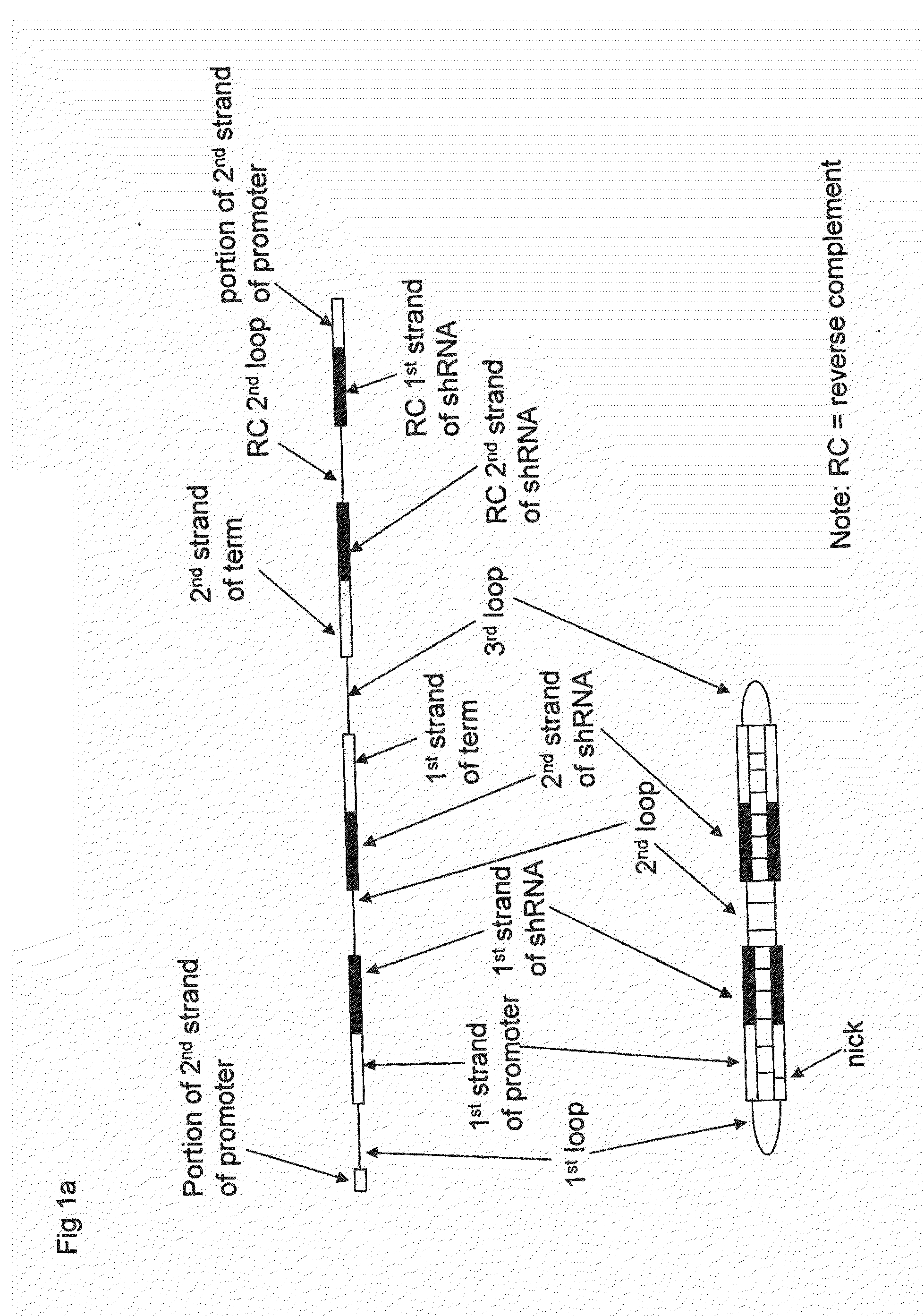 Compositions, Methods, and Systems for SIRNA Delivery