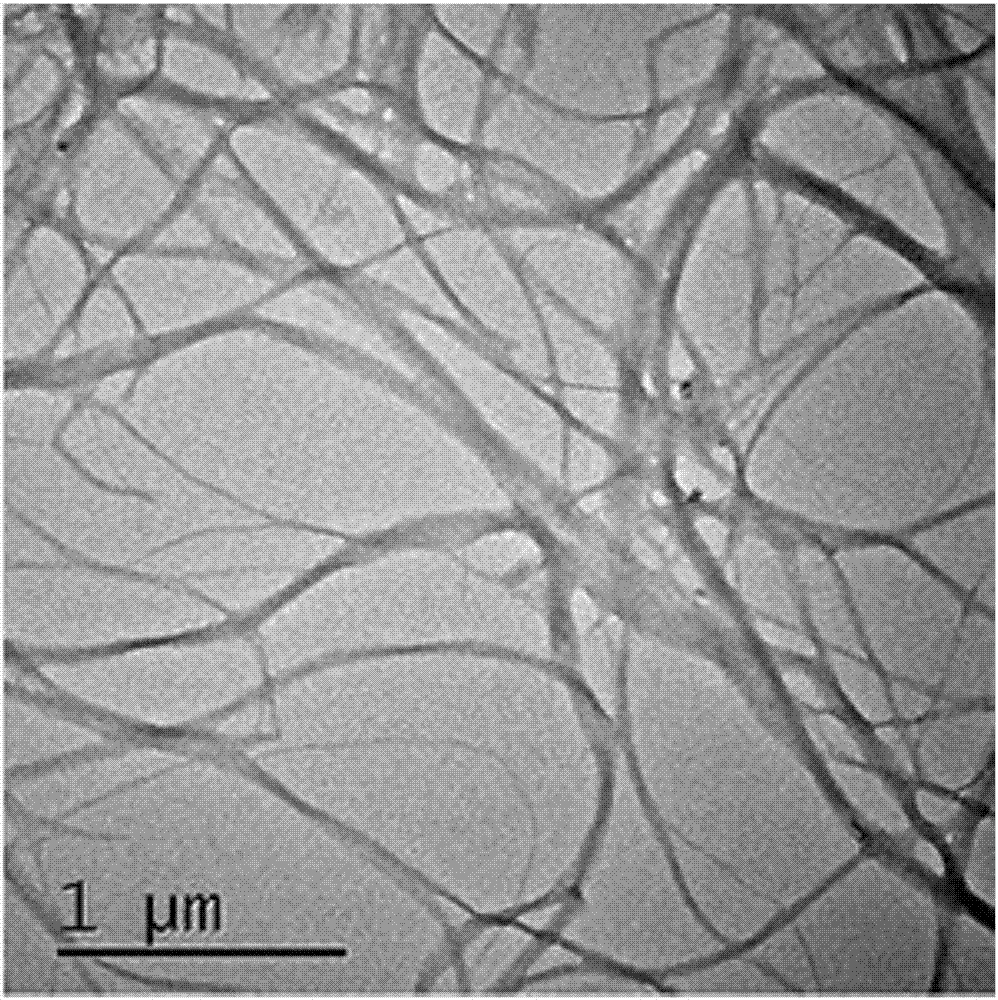 Method for extracting chitin nanometer microfiber from marine biomass