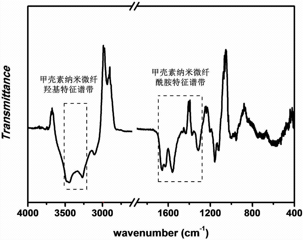 Method for extracting chitin nanometer microfiber from marine biomass