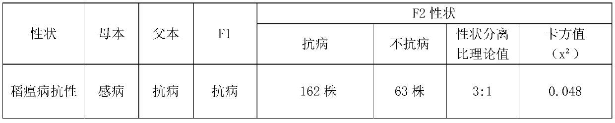 Rice blast disease resisting gene Pi1 tightly interlocked molecular marker R112865-1 and application thereof