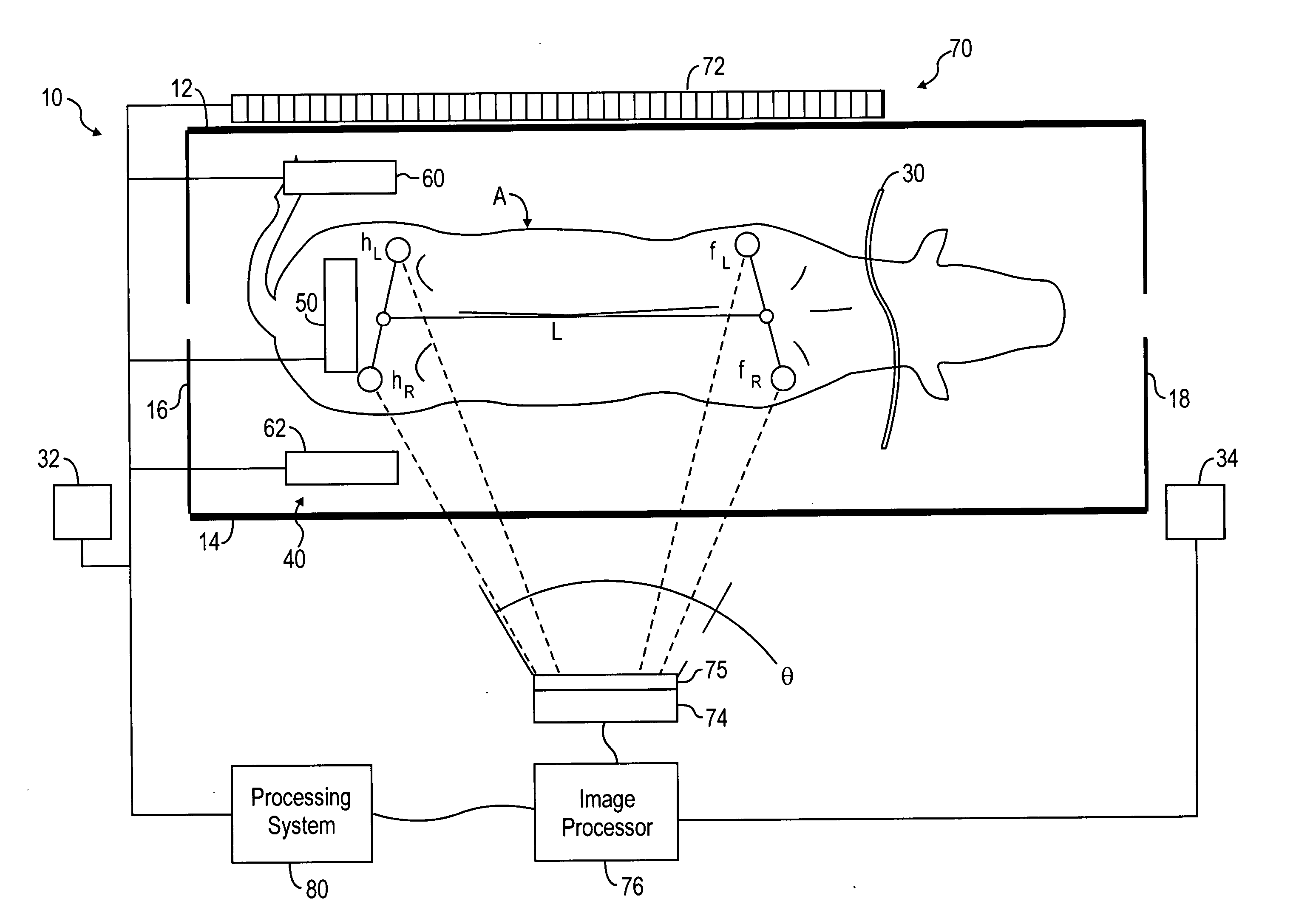 System and method for measuring animals