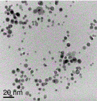 Preparation method of even and stable nano-silver water solution