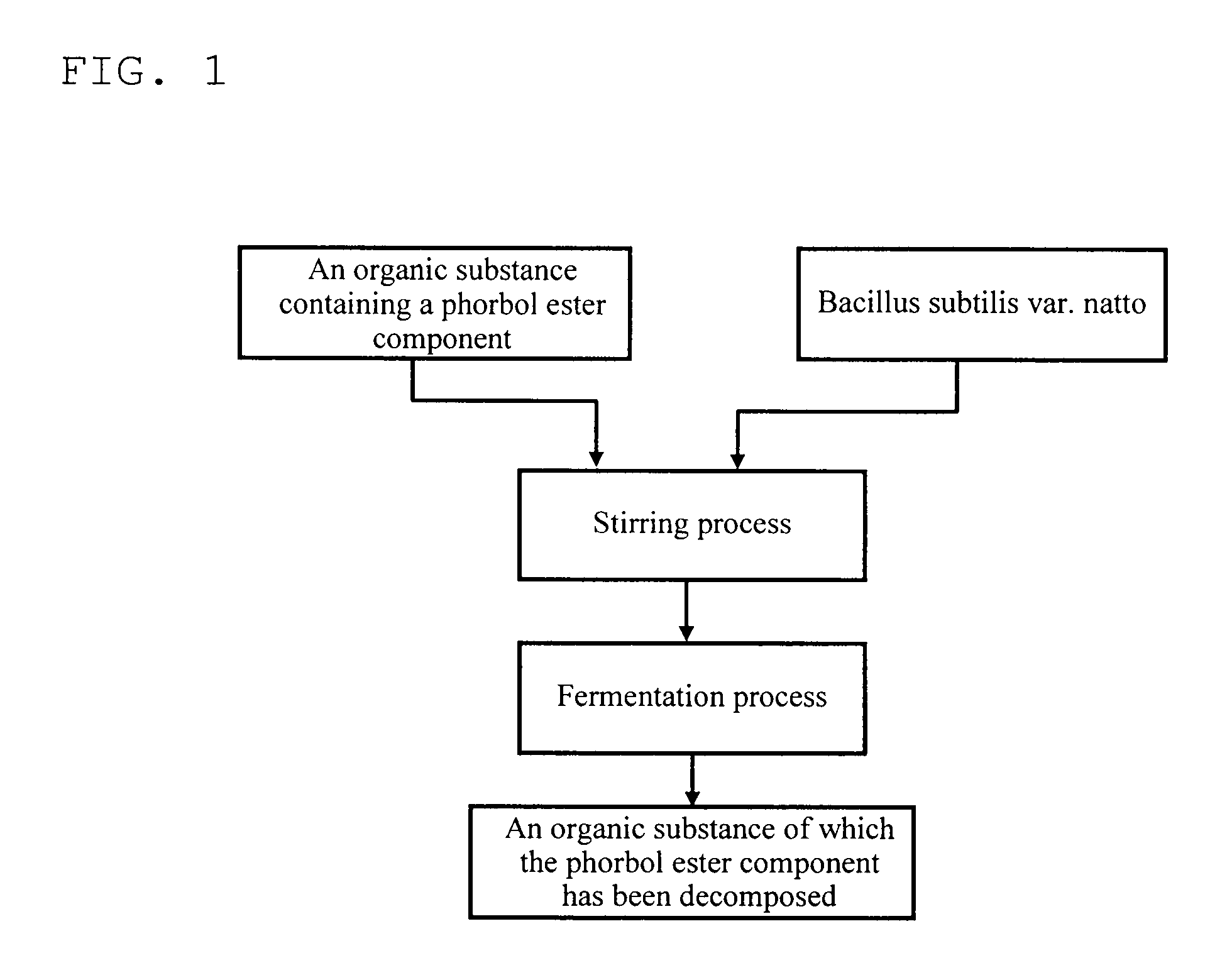 Method for removing phorbol ester in organic substance, method for producing high-protein organic substance, high-protein organic substance, method for producing feed and feed