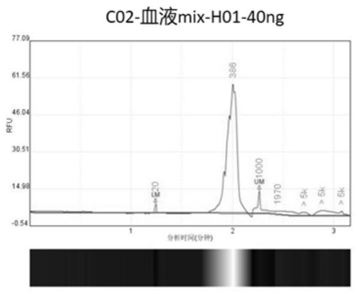 Method and kit for screening gastric cancer related gene mutation