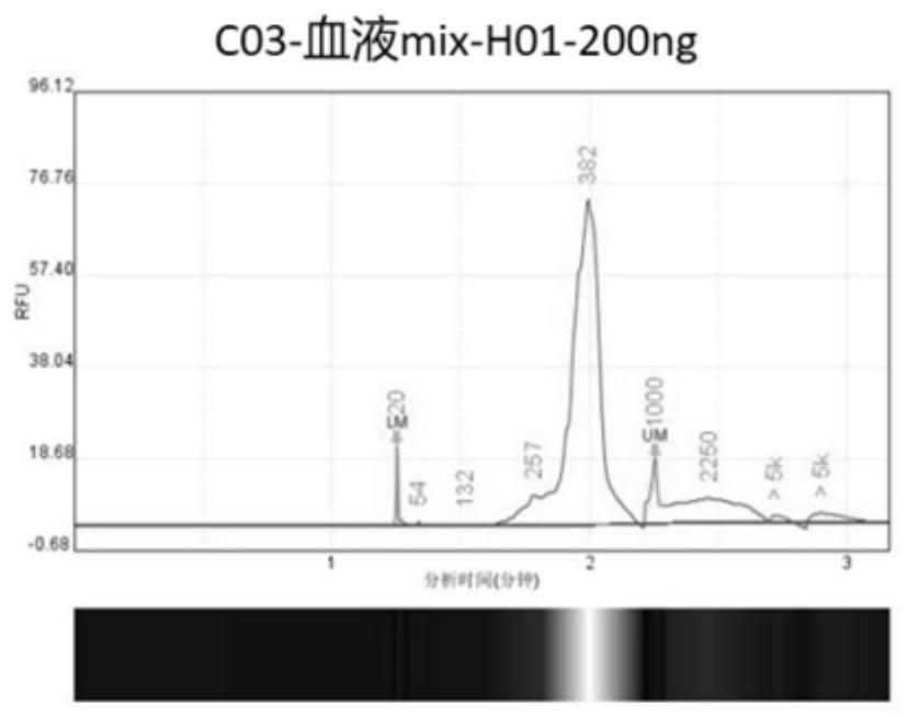 Method and kit for screening gastric cancer related gene mutation