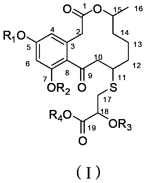 Curvularin derivatives and preparation method and application thereof