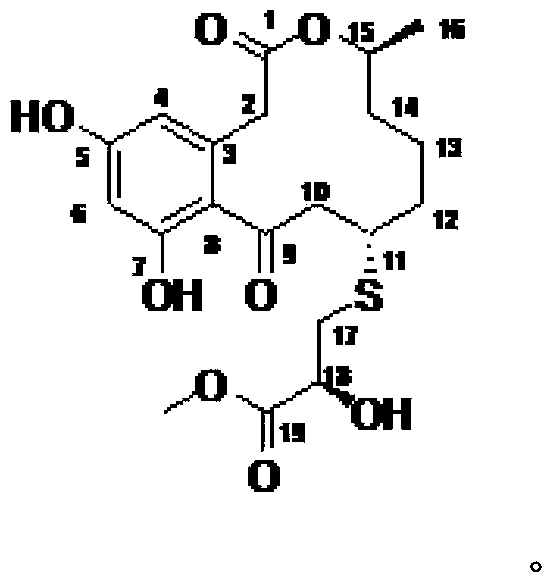 Curvularin derivatives and preparation method and application thereof