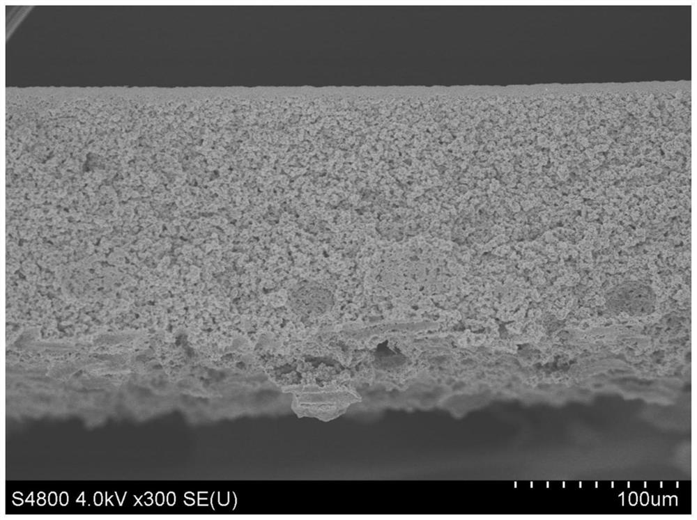 Polymer microporous membrane and preparation method thereof, and water treatment equipment