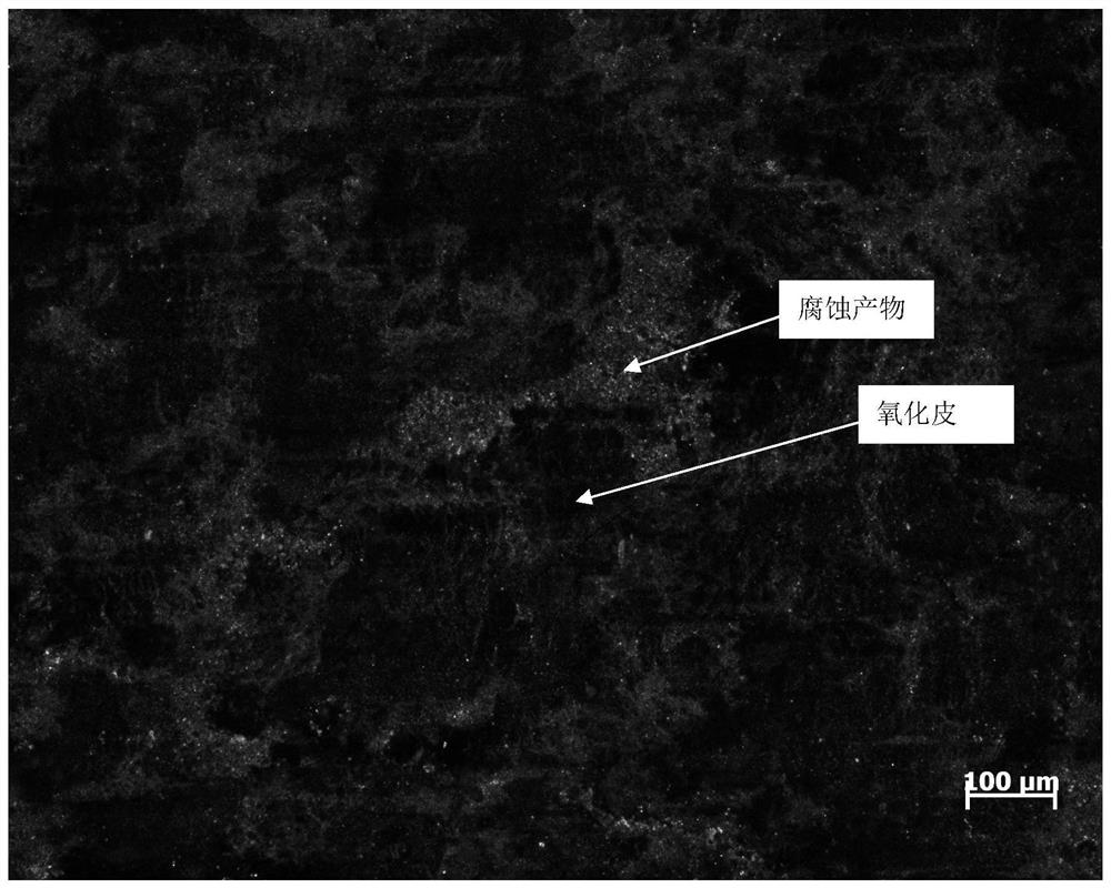 A method for distinguishing red scale and red corrosion products of hot-rolled steel