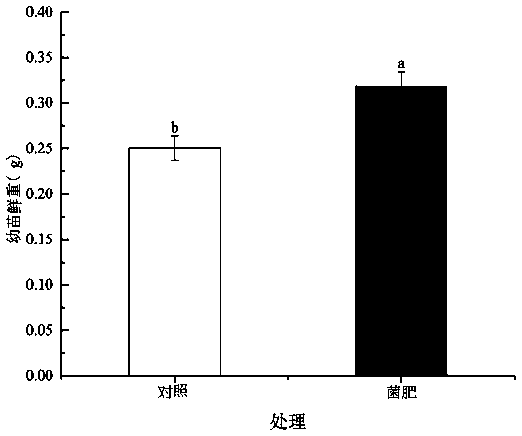 Microbial fertilizer for improving saline-alkali soil and preparation method and application thereof