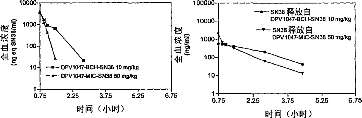 Camptothecin-peptide conjugates and pharmaceutical compositions containing the same