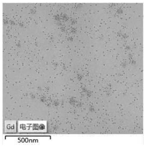 Fullerene polyaza ligand transition metal complex for magnetic resonance imaging and photodynamic therapy, preparation method, use and product