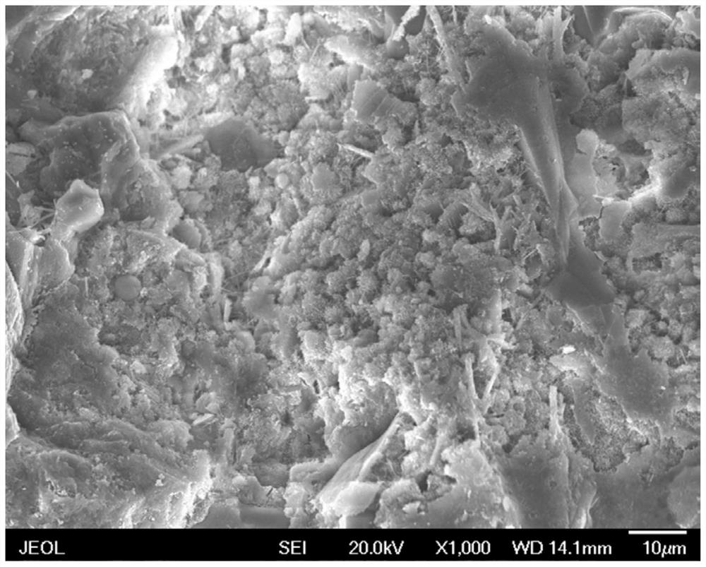 A kind of method and application of preparing heavy metal adsorbent by using blast furnace slag
