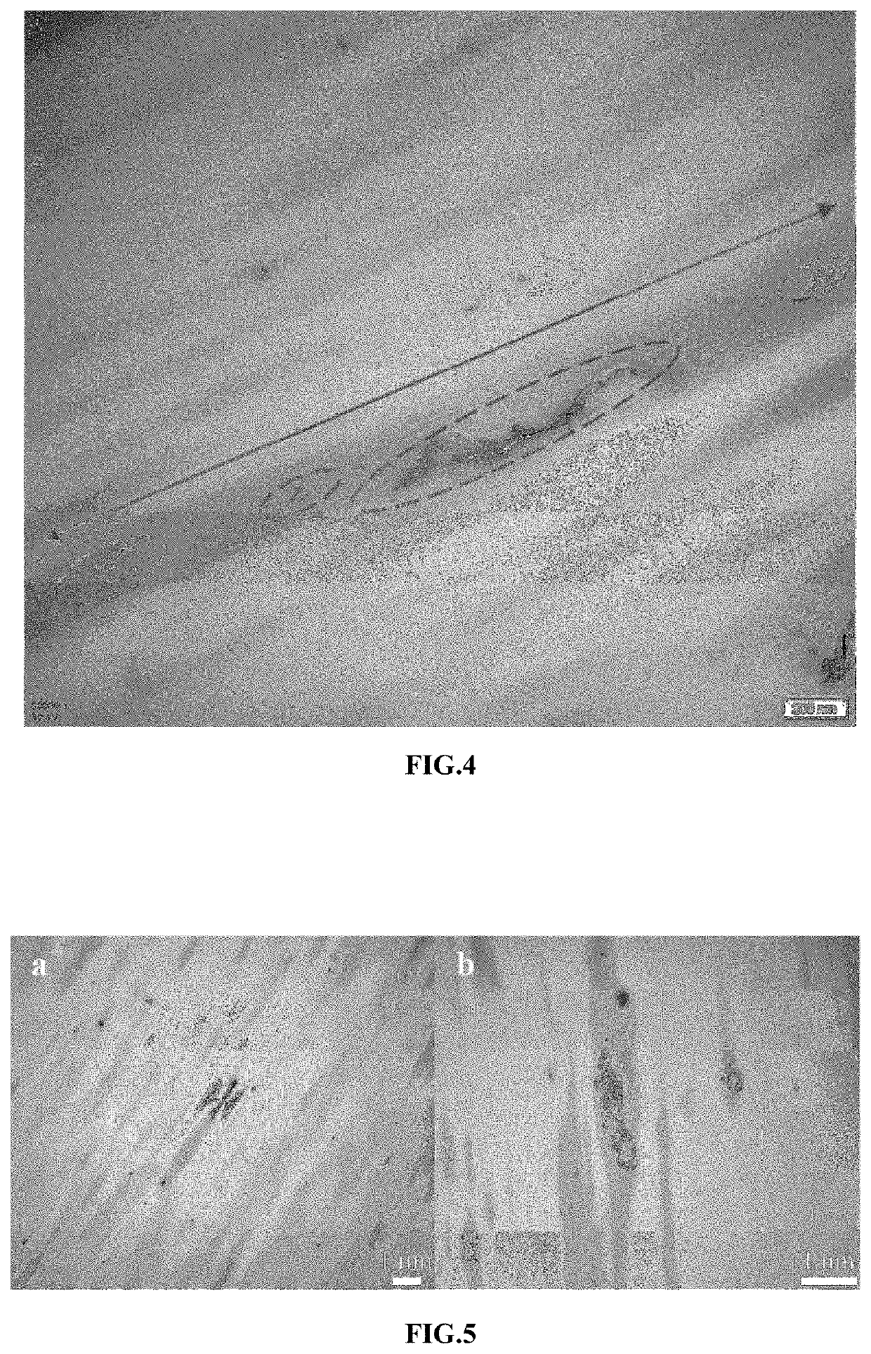 Modified chemical fiber filled with multi-oriented graphene/polymer composite and preparation method thereof